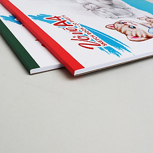 Vở vẽ A4 Hồng Hà định lượng 100gms, độ trắng cao - 4901