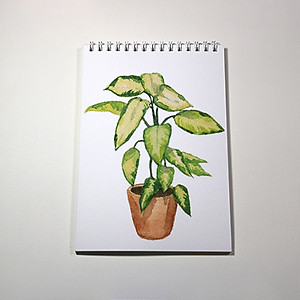 Sổ vẽ màu nước chuyên dụng A5 có vân, dòng cao cấp lên màu đẹp loang màu tự nhiên vẽ được cả chì, 15 tờ/cuốn chất giấy dày 300gsm nhập từ Ý không bị cong TIG373 Green Art - Hàng chính hãng