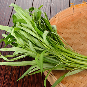 HẠT GIỐNG RAU MUỐNG LÁ TRE RADO 12