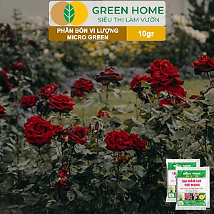 Phân Bón Ra Hoa, Greenhome, Micro Green, Gói 10gr, Tạo Mầm Hoa Cực Mạnh, Thúc Đẩy Ra Hoa Đồng Loạt, Hoa To, Lâu Tàn