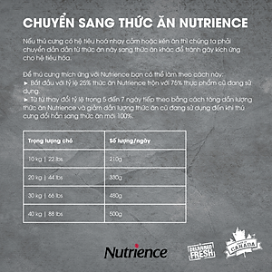 Thức Ăn Cho Chó Lớn Nutrience Infusion Bao 500g - Thịt Gà Tây, Rau Củ Và Trái Cây Tự Nhiên