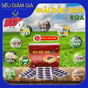 GIẢI ĐỘC GAN KGA - Năng Động - Thanh nhiệt, giải độc, mát gan