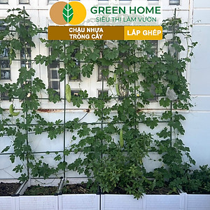 Chậu Trồng Cây Greenhome, Nhựa Nguyên Sinh Lắp Ghép, Nhiều Kích Thước, Trồng Hoa Hồng, Rau, Củ, Quả, Độ Bền 5 Năm