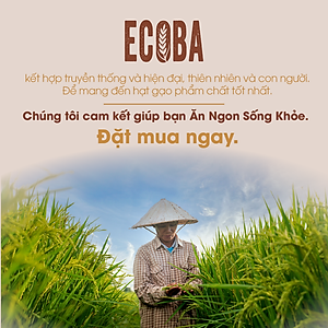 Gạo lứt nâu hữu cơ cao cấp/ECOBA Kim Mễ 1kg - Gạo lứt giảm cân - Cơm ngon mềm dẻo