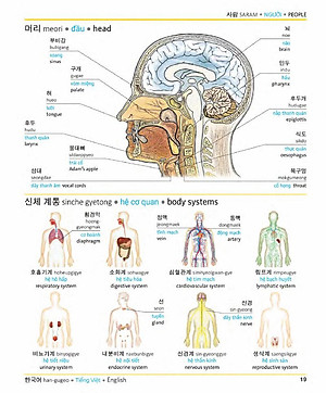 Sách Korean Vietnamese English Trilingual Dictionary