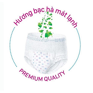 Combo 10 gói Băng vệ sinh Quần Shana Siêu mềm Siêu thấm Freesize 2 quần/gói