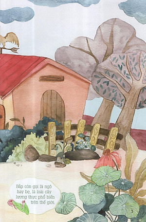 Sách Từ Những Hạt Mầm: Gà Choai Trồng Bắp