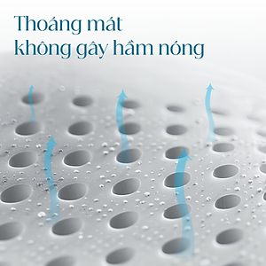 Gối Cao Su Vạn Thành Oval VTGCSO4056 (40 x 64 cm) - Trắng