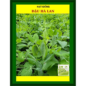 Hạt Giống Đậu Hà Lan 50 Gram Rạng Đông