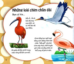 Sách Những Điều Kỳ Thú - Thú Vị Các Loài Chim