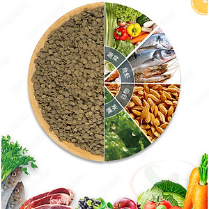 Thức ăn cá Biozym Pellet Feed Food viên chìm tầng đáy cá chuột pleco thủy sinh