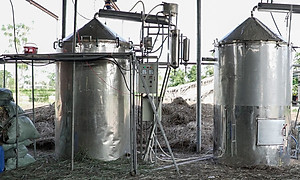 Tinh dầu vỏ bưởi da xanh Mộc Mây - tinh dầu nguyên chất từ thiên nhiên - chất lượng và mùi hương vượt trội