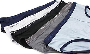 Bộ 5 Quần Lót Nam Tam Giác Xuất Nhật Chất Mát (Màu Ngẫu Nghiên)