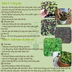 Hạt Giống Mồng Tơi Cao Sản Mồng Tơi Lá To Dễ Trồng,Giàu Dinh Dưỡng - Phú Nông Seeds 15Gr