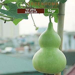Hạt Giống Bầu Hồ Lô Greenhome, Gói 1g, Dễ Trồng Quanh Năm, Nảy Mầm Cao, Thu Hoạch Nhanh, Năng Suất Cao T11