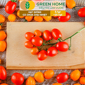 Hạt Giống Cà Chua Greenhome, Gói 0.1gr~25 hạt, Chịu Nhiệt, Trồng Chậu, Ra Nhiều Quả, Cây Sinh Trưởng Nhanh T15