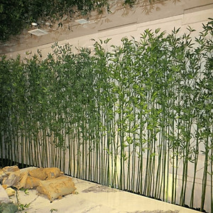 Set 10 cây trúc giả ( Loại thường) - Size từ 120cm đến 150cm - Cây giả, hoa lụa Decor trang trí nhà cửa