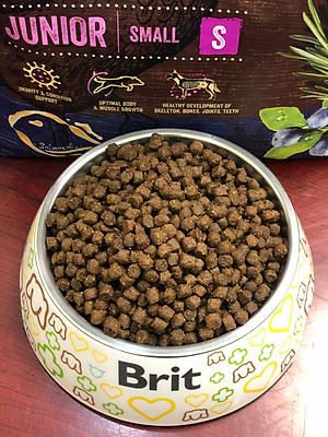 Mua Thức ăn hạt cao cấp dành cho chó con giống chó nhỏ vị thịt gà