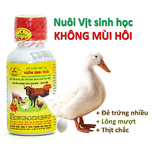 Chế phẩm sinh học VƯỜN SINH THÁI chăn nuôi Vỗ Béo không Mùi Hôi - Vật nuôi chắc thịt lớn nhanh ít bệnh dịch - Thức ăn bổ sung cho lợn gà chó mèo chim