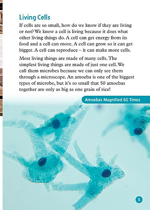 Oxford Read and Discover 6 Cells and Microbes