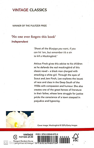 Sách To Kill A Mockingbird (Paperback) - Giết con chim nhại