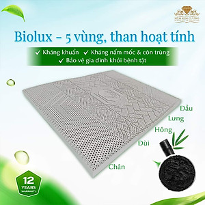 Nệm Cao Su Kim Cương 5Zone Than Hoạt Tính BIOLUX