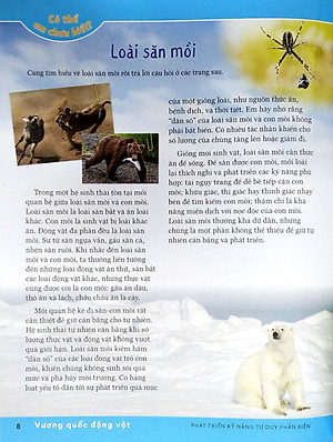 Sách Phát Triển Kỹ Năng Tư Duy Phản Biện – Lớp 5 Nâng Cao