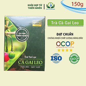 Trà cà gai leo túi lọc cà dây leo của siêu thị thiên nhiên