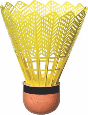 CẦU LÔNG NHỰA 3 QUẢ-LIÊN HIỆP THÀNH