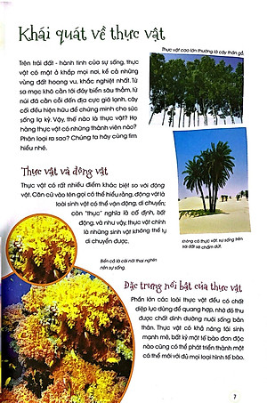 Sách Thực Vật Xinh Đẹp