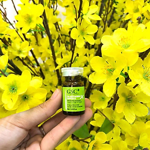  Tế bào gốc hỗ trợ sẹo, trẻ hoá da Hàn Quốc GSC GA ANTI AGEING AMPOULE, giúp xóa sẹo lồi, lõm, tái tạo cấu trúc da