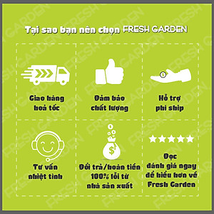 Bánh Quy Bơ Ăn Vặt FRESH GARDEN Vị Mứt Dâu Đặc Biệt Thơm Ngon Hộp 80g