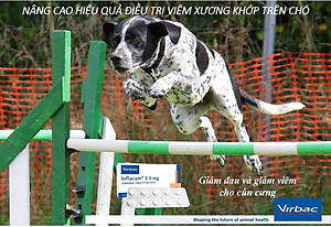 Vỉ 10 viên Inflacam kháng viêm, giảm đau trên chó (Virbac)