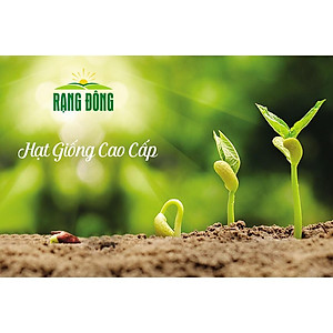  Hạt giống Hạt Giống Dưa Leo OP Dễ Trồng, Năng Suất Cao gói 5gr- NON GMO- Hạt giống Rạng Đông, Chất lượng vượt trội!