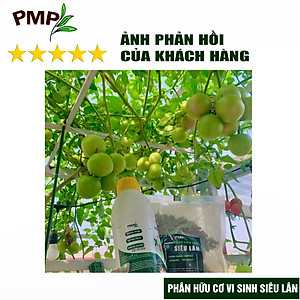 Phân tan chậm vi sinh siêu lân PMP bón cho hoa hồng, cây cảnh, rau sạch dạng viên nén 2kg