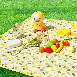 150x200cm Tấm Trải Du Lịch Cách Nhiệt Chống Thấm Nước Thảm Dã Ngoại Gấp Gọn Nhẹ - Du Lịch Đi Biển, Bạt Trải Lót Sàn Picnic Thể Thao Dã Ngoại Cắm Trại Thiết Kế Tiện Lợi Cao Cấp Mang Đi