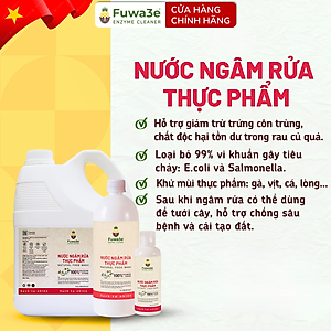 Nước ngâm rửa rau củ quả Fuwa3e 3.8L enzyme sinh học từ vỏ dứa Fuwa3e