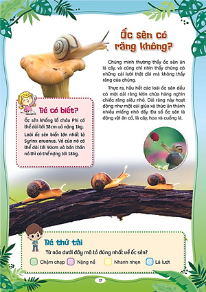 Sách Phát Triển Tư Duy Và Ngôn Ngữ Cho Trẻ - 10 Vạn Câu Hỏi Vì sao - Cùng Trẻ Khám Phá Thế giới Xung Quanh