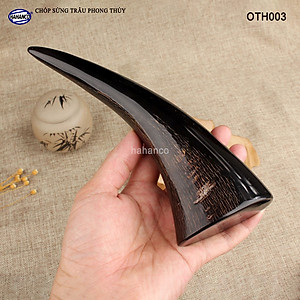 Chóp sừng trâu vật phẩm phong thủy (OTH003) HOT nhất của năm trâu vàng 2021 - giàu sang - phú quý