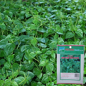 Hạt Giống Rau Càng Cua Phú Nông