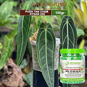 Phân tan chậm Rynan 230, chai 150gr, chuyên kiểng lá, dưỡng lá xanh, sinh trưởng khoẻ |Greenhome