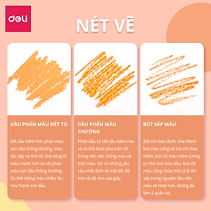 Bút Sáp Dầu Chuyên Nghiệp Deli - Hộp Giấy - 24/36 Màu - 72087 / 72088