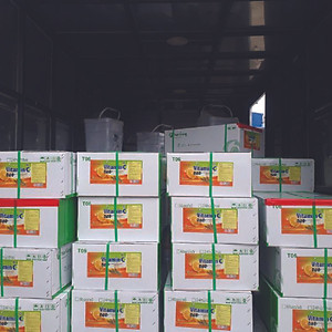 VITAMIN C TẠT - Vitamin chống sốc môi trường, giảm stress