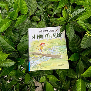 Sách Bí Mật Của Rừng