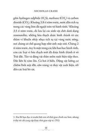 Bạn Đang Ở Đây: Cuốn Sách Ngắn Về Thế Giới
