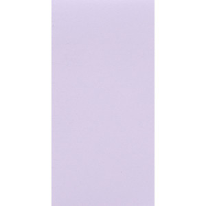 Bộ 2 Xấp Giấy Note 2 Màu Baoke 3009 - 38 x 76 mm/Màu (100 sheets/Xấp) - Giao Mẫu Ngẫu Nhiên