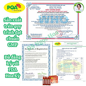 Ích Khí Thăng Dương PQA Giúp Điều Bổ Tì Vị, Hỗ Trợ Giảm Các Triệu Chứng Sa Tử Cung, Trĩ Hộp 10 Ống