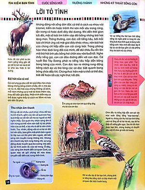 Tủ Sách Thế Giới Động Vật - Kết Đôi Và Sinh Sản (Hình Minh Họa 3D)