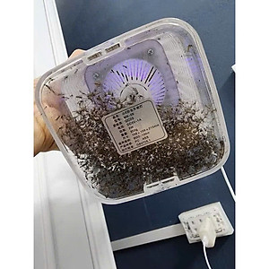 Đèn Bắt Muỗi Tự Động - Máy Bắt Muỗi Thông Minh, Hút Côn Trùng, Công Nghệ Đèn LED, Kiêm Đèn Ngủ Sạc USB - HÀNG CHÍNH HÃNG MINIIN