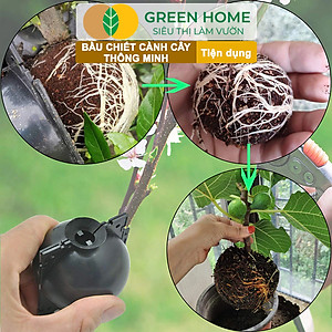 Bầu Chiết Cành Greenhome, Dụng Cụ Làm Vườn, Tăng Khả Năng Ra Rễ, Chống Úng Cành Chiết, Độ Bền Đến 2 Năm, Dễ Sử Dụng